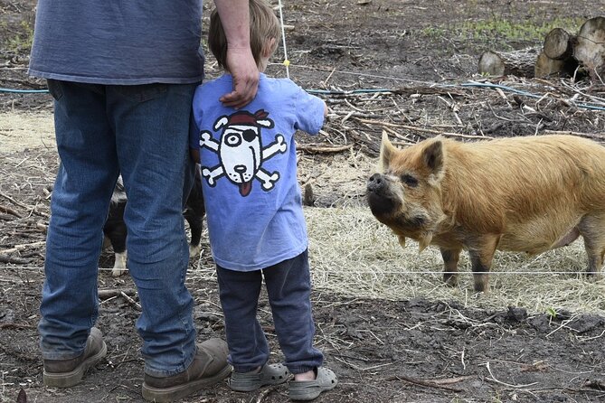 1.5 Hour Immersive Farm Experience in Adirondacks - Stop at Cook Farm: history first, then the practical “how”