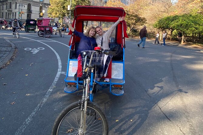 1 Hour Private Guided Tour - Sheep Meadow Ride-By: Big Green Space Without the Time Sink
