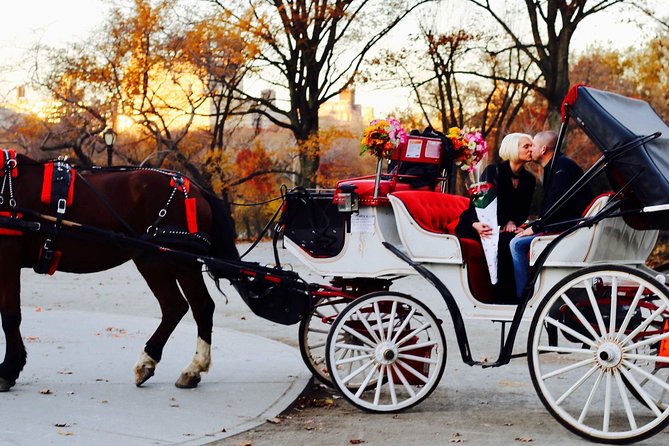 45 min Long VIP Central park carriage ride - Bethesda Terrace, Ice Skating Rink, Carousel, and Balto: The Ride’s Opening Act