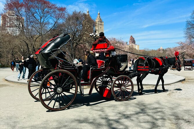 45 min Long VIP Central park carriage ride - The Mall, Cherry Hill, and the Moment You Can Step Out