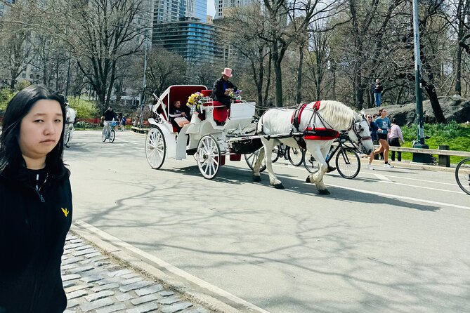 45 min Long VIP Central park carriage ride - Sheep’s Meadow and Columbus Circle: Closing With Big-Park Energy