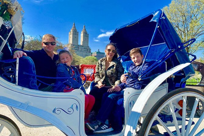 45 min Long VIP Central park carriage ride - Winter Rides: Warm Blankets and Smart Timing