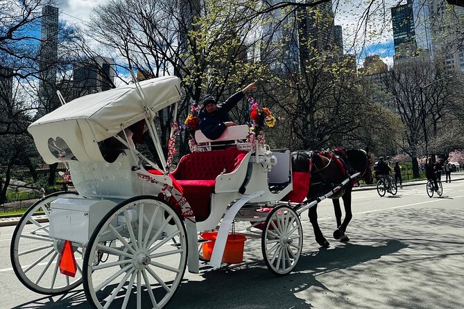 45 min Long VIP Central park carriage ride - The Driver Experience: What Makes It Feel Special