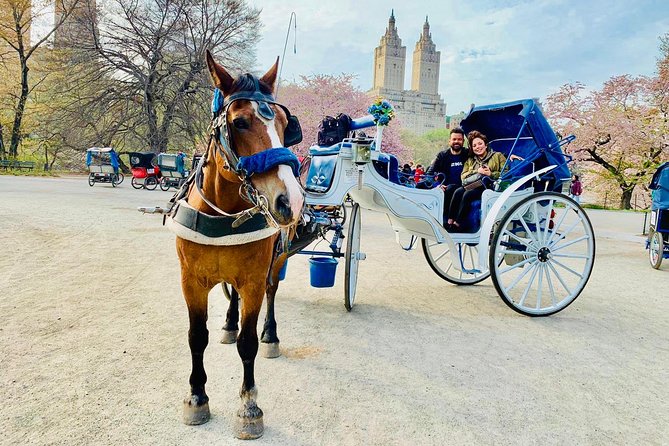 45 min Long VIP Central park carriage ride - Where You Meet: Central Park South & West Drive, Plus Pickup Reality