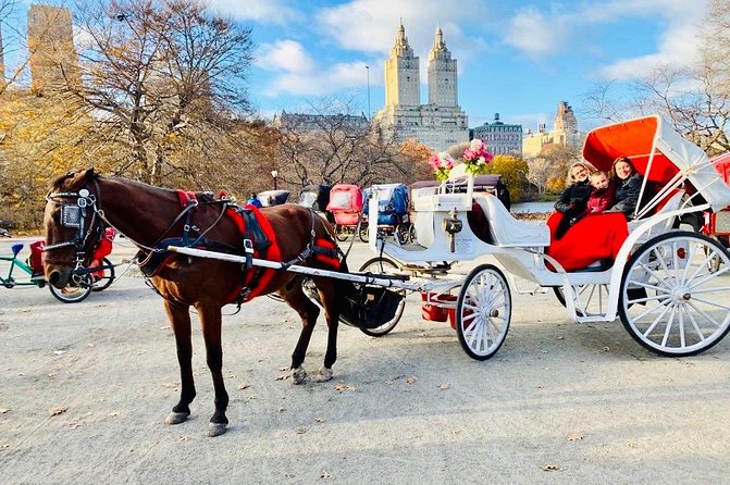 45 Minute VIP Central Park Carriage Ride - Where You Meet: Central Park South & West Drive