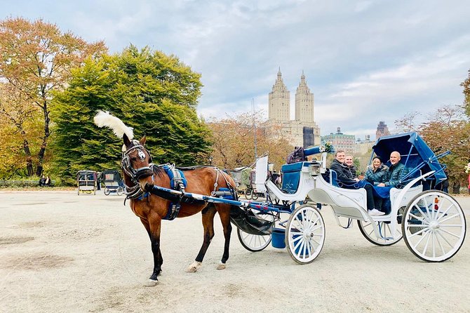 45 Minute VIP Central Park Carriage Ride - Private by Design: Family Trips, Date Nights, and Lap-Sitting Babies