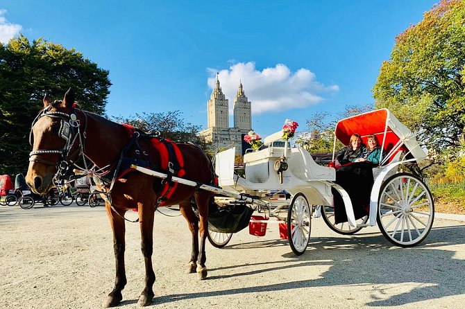 45 Minute VIP Central Park Carriage Ride - Weather, Timing, and the Stuff You Should Not Ignore