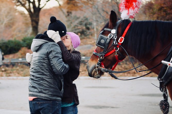 60 min surprise proposal carriage ride - Weather Timing and Staying Comfortable During the Loop