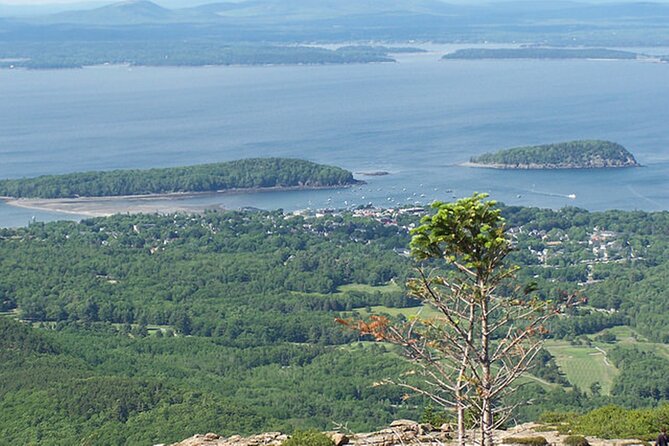 Acadia National Park & Boston 3-Day Tour from NYC | Kids 50% Off - Key highlights worth planning around