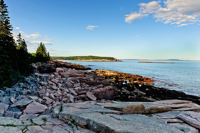 Acadia National Park & Boston 3-Day Tour from NYC | Kids 50% Off - Day 1: New England Aquarium and Boston Harbor from a Water-View Angle