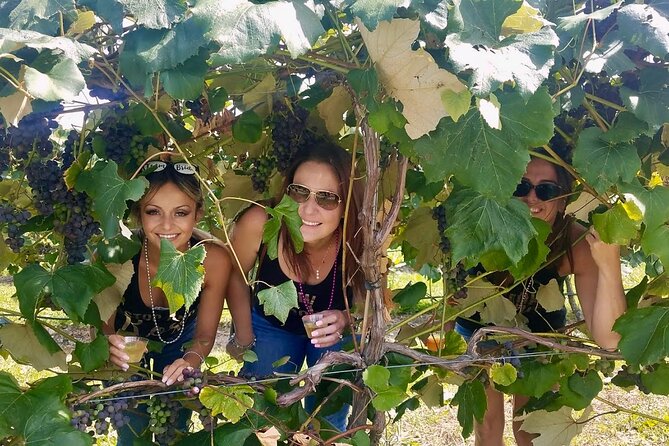 All Inclusive VIP Wine or Beer Tour in Hudson Valley - Bring Smart Extras: Bags, Sun Protection, and Small Comforts