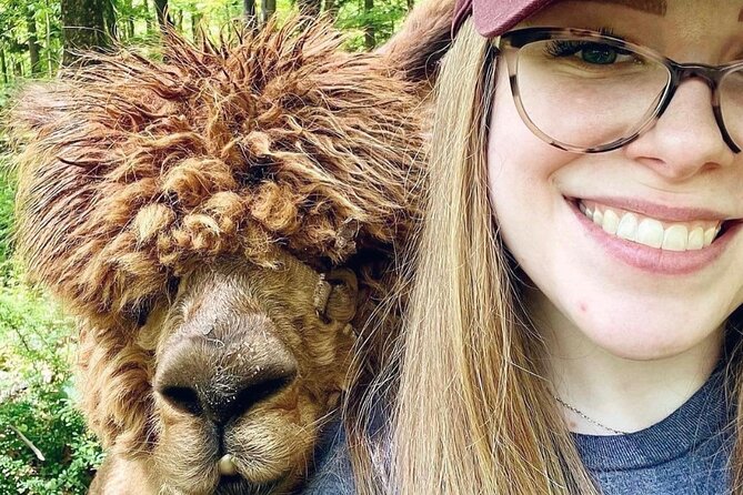 Alpaca and Llama Trek in Pleasant Valley - Key points before you go