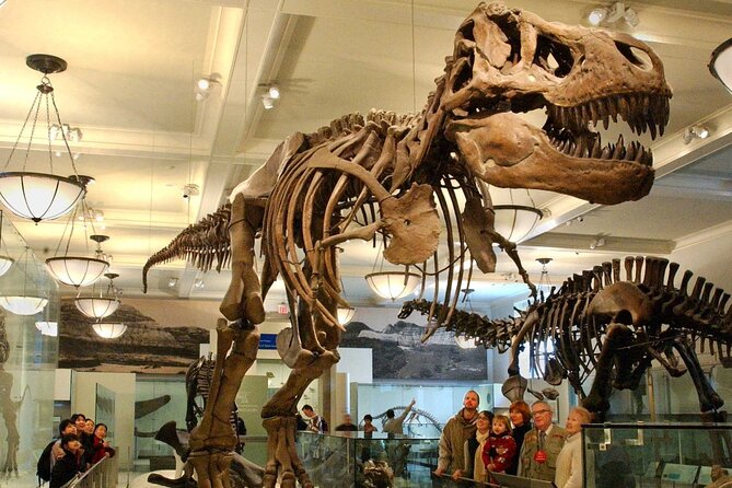 American Museum of Natural History Admission Ticket - American Museum of Natural History: what this admission ticket really buys you