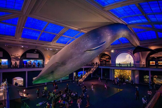 American Museum of Natural History Admission Ticket - Dinosaur Hall to blue whale room: the highlights you can’t miss