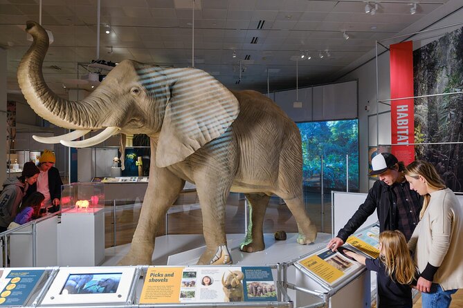 American Museum of Natural History Admission Ticket - Beyond icons: how to pace a 3–4 hour AMNH day