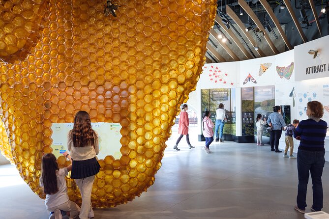 American Museum of Natural History Admission Ticket - Price and logistics: is $37 good value?
