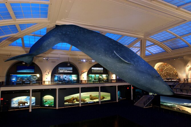 American Museum of Natural History Admission Ticket - Should you book this AMNH admission ticket?