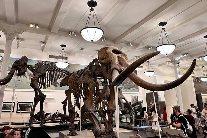 American Museum of Natural History and MOMA Combo Tickets - Timing Your 2 to 5 Hours Without Feeling Rushed