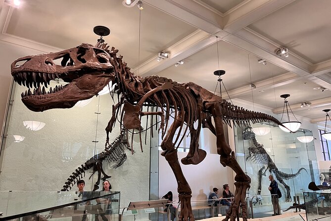 American Museum of Natural History and MOMA Combo Tickets - What’s Included and What You’ll Need to Arrange