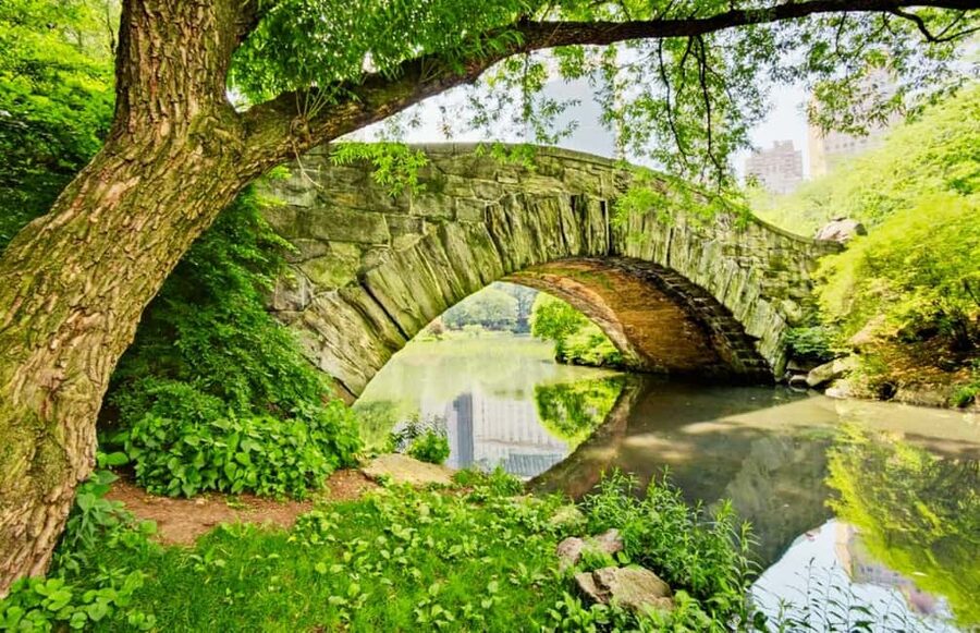 Best of Central Park: Top-Rated Pedicab Tour NYC - Bethesda Terrace and Fountain: The Stop That Makes the Whole Park Click
