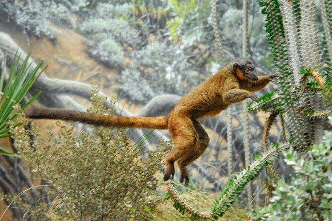 Bronx Zoo Admission Ticket - Key highlights worth knowing