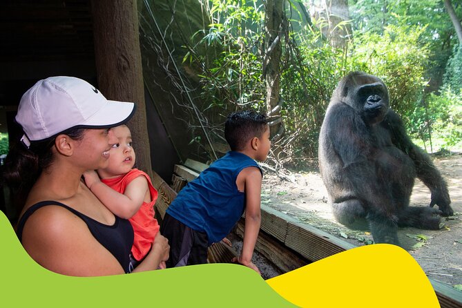 Bronx Zoo Admission Ticket - First stop at the Bronx Zoo: build your day around the animals