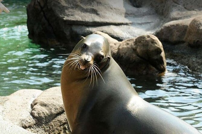 Bronx Zoo Admission Ticket - Timing the day: you have to respect 4 PM exhibit closings