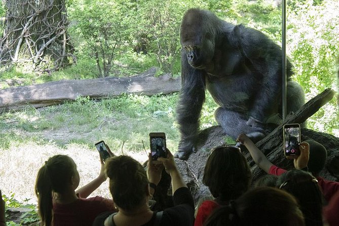 Bronx Zoo Admission Ticket - Getting there: public transportation nearby, but parking needs prep