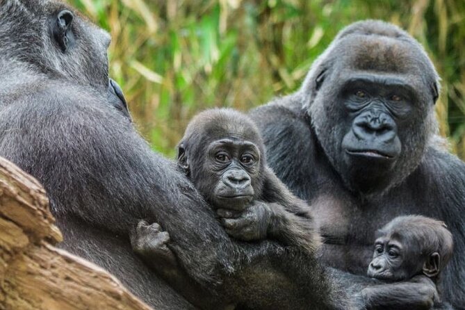 Bronx Zoo Admission Ticket - Butterfly Garden: a calmer pause between big exhibits