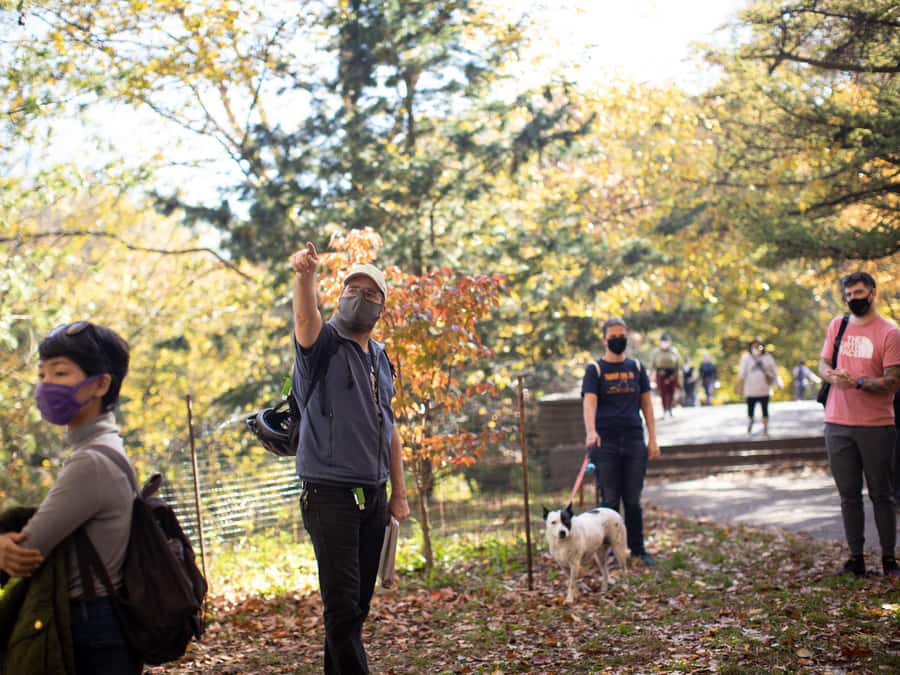 Brooklyn: 2-Hour Prospect Park Guided Walking Tour - Lakes, Streams, and Waterfalls: The Manmade Watercourse Explained