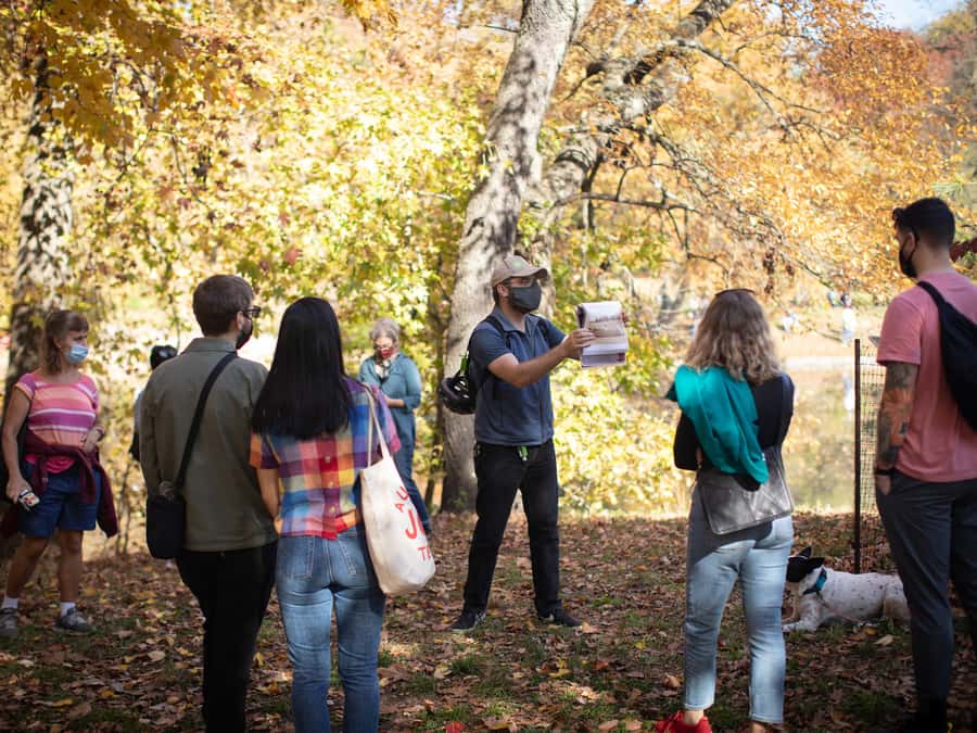 Brooklyn: 2-Hour Prospect Park Guided Walking Tour - Wildlife on Pause: Turtles, Dogs, and Park History in Real Time