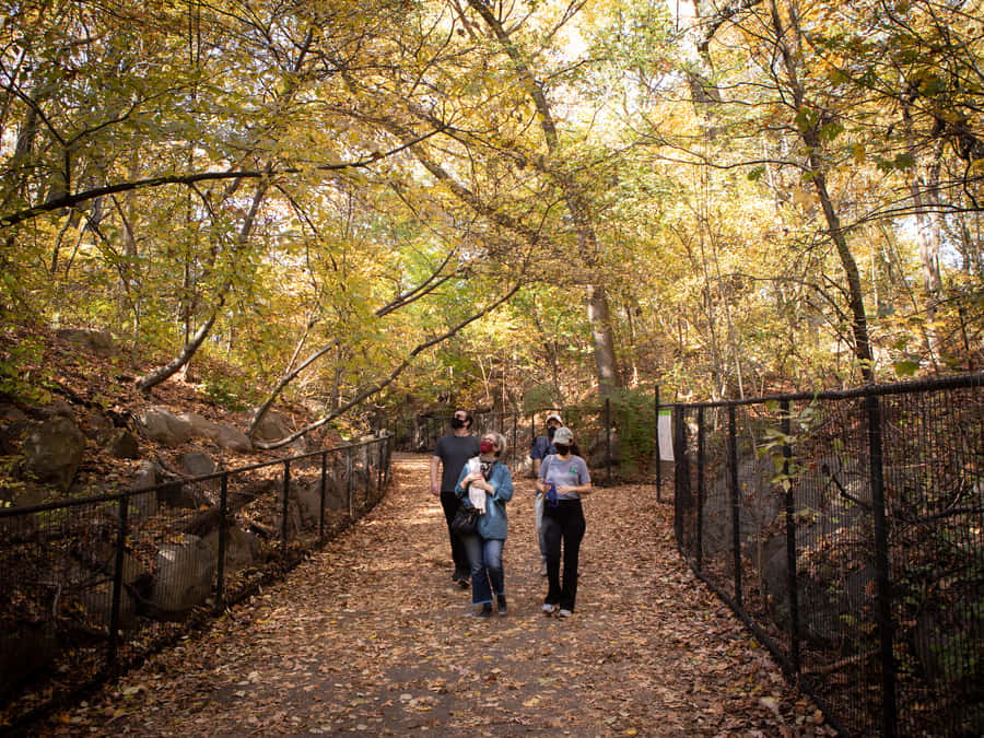 Brooklyn: 2-Hour Prospect Park Guided Walking Tour - Frederick Law Olmsted and Calvert Vaux: Design Ideas You Can Follow on Foot
