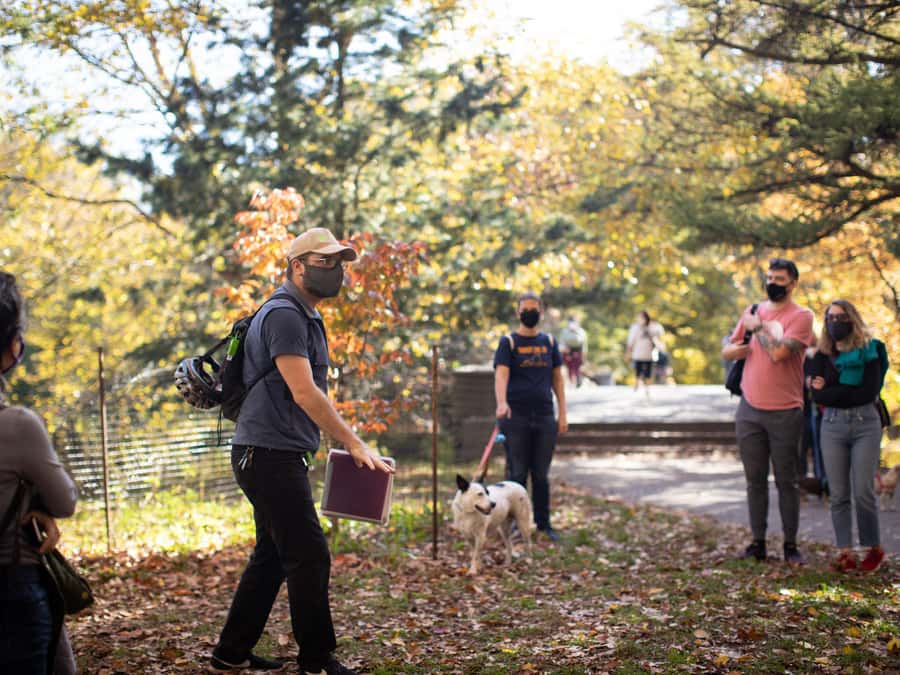 Brooklyn: 2-Hour Prospect Park Guided Walking Tour - Built Environment Through the Trees: Architectural Eras and Changing Use