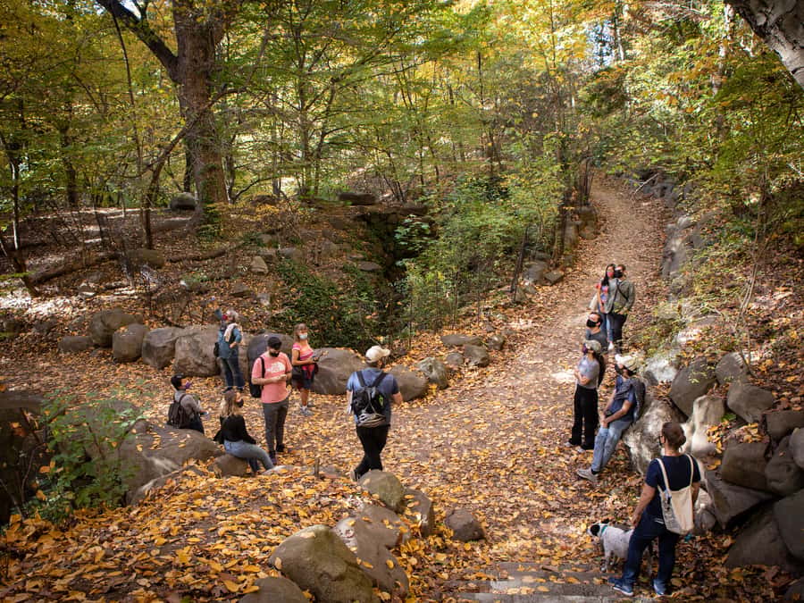 Brooklyn: 2-Hour Prospect Park Guided Walking Tour - The Ravine: Nature-Looking Features With Human Intent