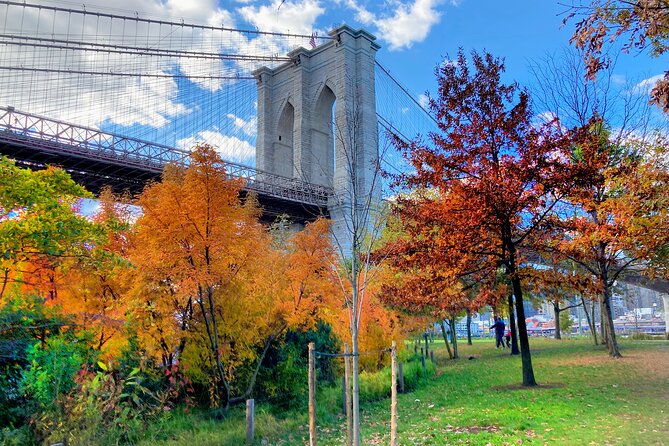Brooklyn Bridge Waterfront Guided Bike Tour - Stop 6: DUMBO for the glitzy-gritty warehouse vibe