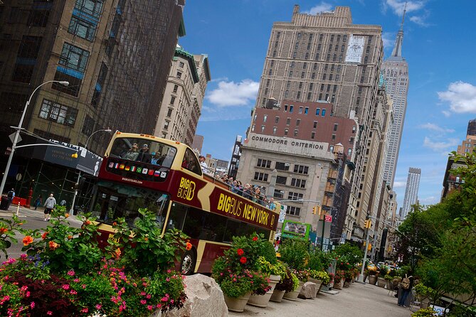 Brooklyn & DUMBO: Open-top Bus Tour and Guided Walking Tour - DUMBO guided walking tour (1 hour): orientation, landmarks, and photo-ready streets