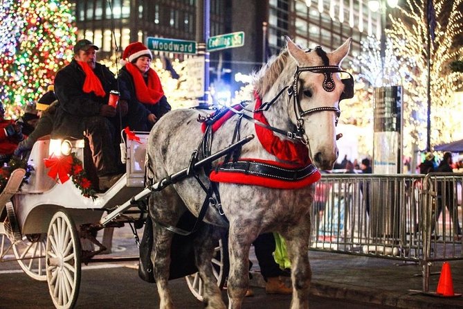 Carriage Ride in Central Park (VIP - PRIVATE) Since 1964™ - Why a private carriage ride feels different in Central Park