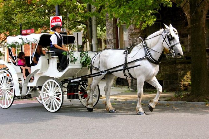 Carriage Ride in Central Park (VIP - PRIVATE) Since 1964™ - What happens during the ride: blankets, carrots, and photo stops