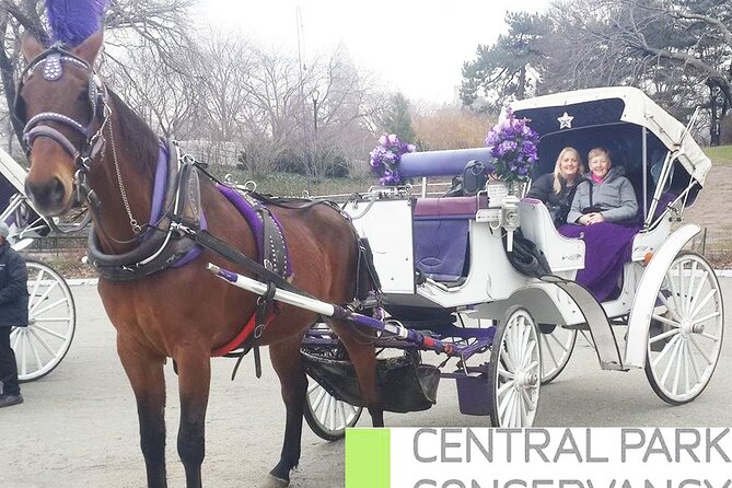 Carriage Ride in Central Park (VIP - PRIVATE) Since 1964™ - Who will enjoy this most: families, couples, and all-age groups