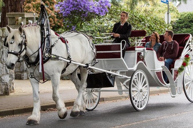 Carriage Ride in Central Park (VIP - PRIVATE) Since 1964™ - Weather reality: cold nights, drizzle, and seasonal closures