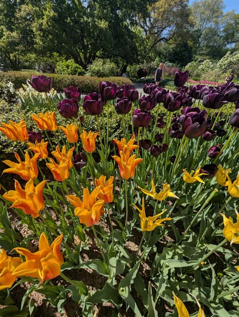 Central Park 5 Star Walking Tour led by Manhattan residents! - The Mall and Literary Walk: Where the Walk Gets Slower (and Why That’s Good)