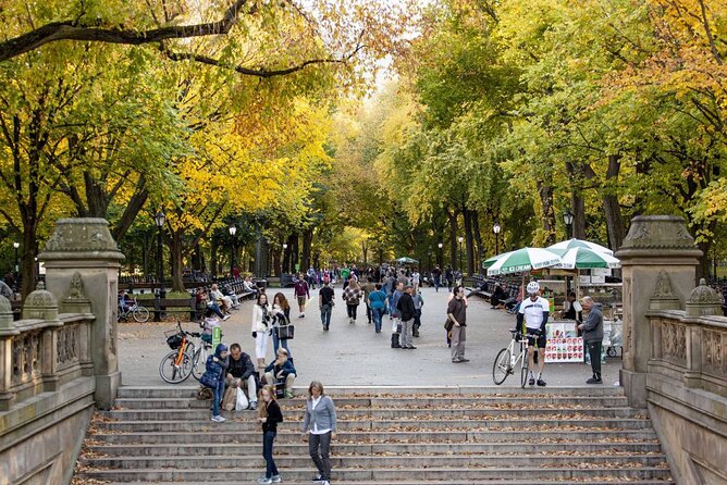 Central Park and 5th Avenue Walking Tour - The Imagine Mosaic and Bartholdi Fountain Stairs: Fast Orientation Wins