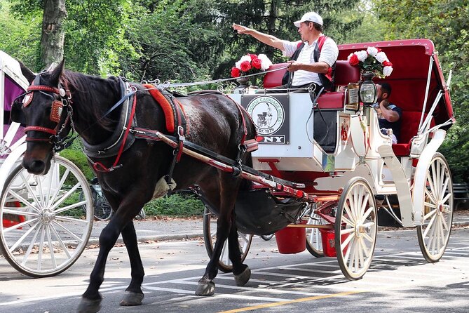 Central Park Carriage Ride w/ Drop Off @ Tavern On Green (45 min) - Central Park carriage basics: 45 minutes, private group, and a dinner-friendly rhythm
