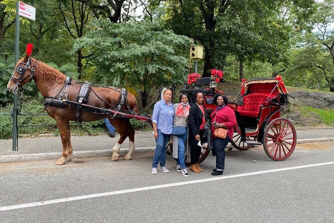 Central Park Carriage Ride w/ Drop Off @ Tavern On Green (45 min) - Feeding the horses carrots, plus winter comfort with blankets
