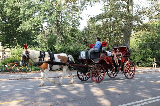 Central Park Carriage Ride w/ Drop Off @ Tavern On Green (45 min) - Driver personality matters: examples that show what the ride can feel like