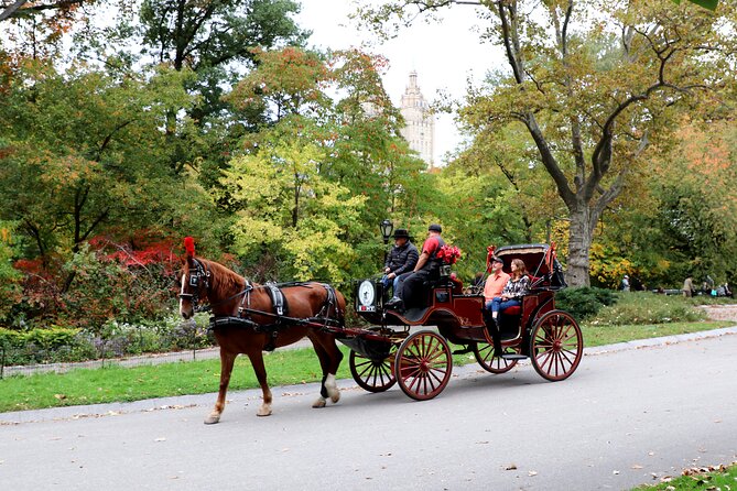 Central Park Carriage Ride w/ Drop Off @ Tavern On Green (45 min) - Where you meet and how to avoid the carriage-finding headache