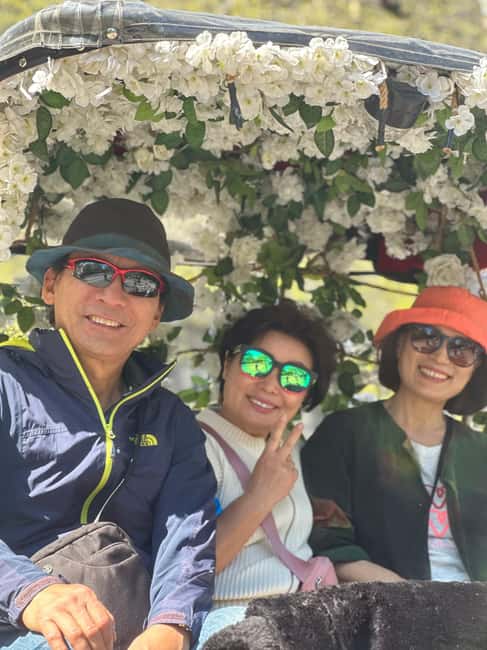 Central Park: Guided 1.5-hour Movie & Celebrity Pedicab Tour - The guide and languages: how the tour stays easy to follow