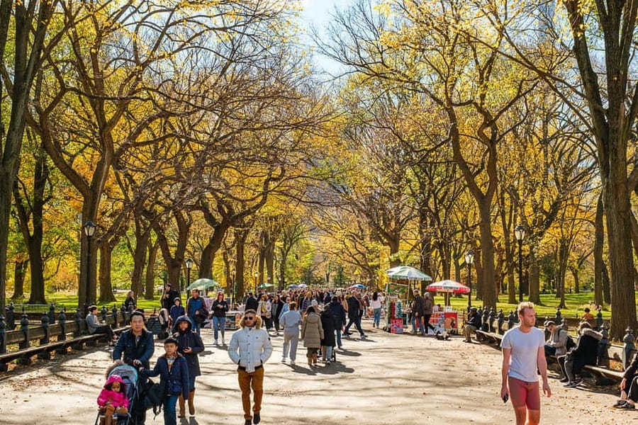 Central Park Guided Bike Tour - Quick Practical Tips Before You Go