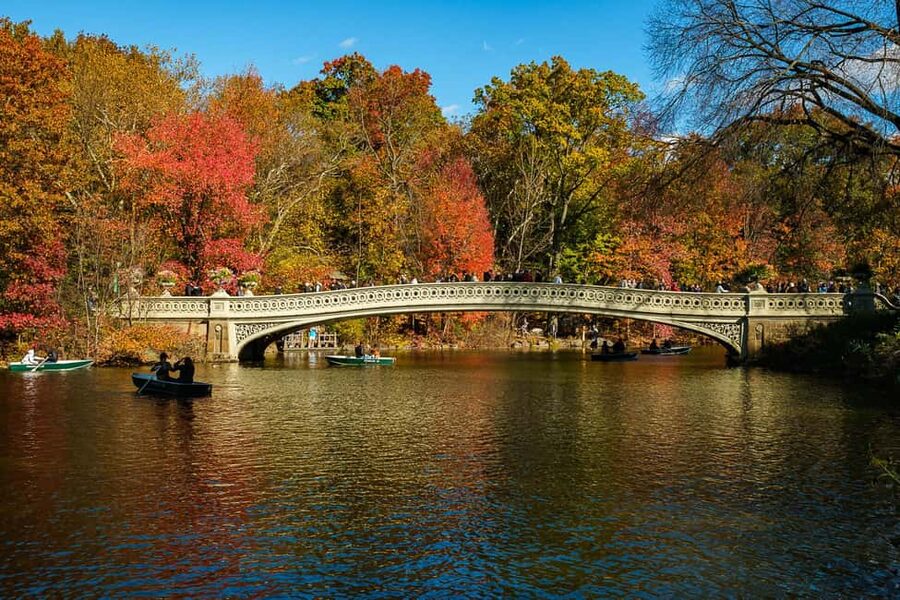 Central Park Guided Bike Tour - How the Tour Works as a Movie-Star Photo Session