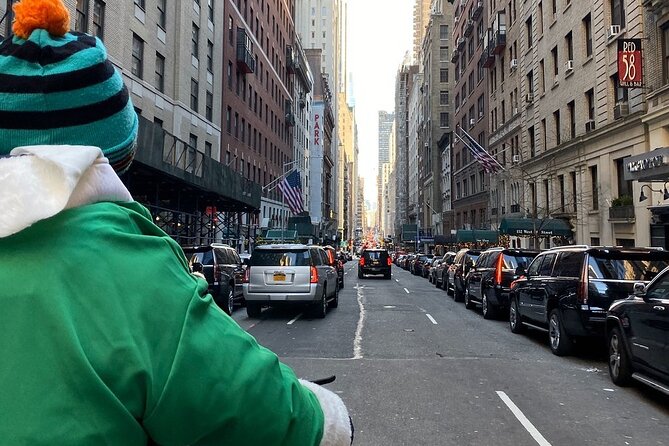 Central Park Guided Pedicab Tours - Guides, pacing, and the little touches that make it feel worth $65
